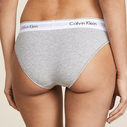 Calvin Klein Women's Modern Cotton Stretch Bikini Panty Underwear, Grey Heather, XL