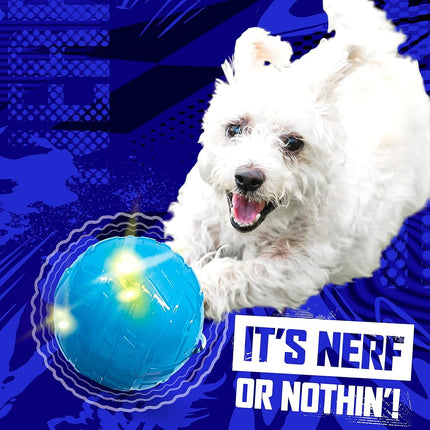 Nerf Dog 3.5in Wiggle Ball -Blue, (NF-4082)