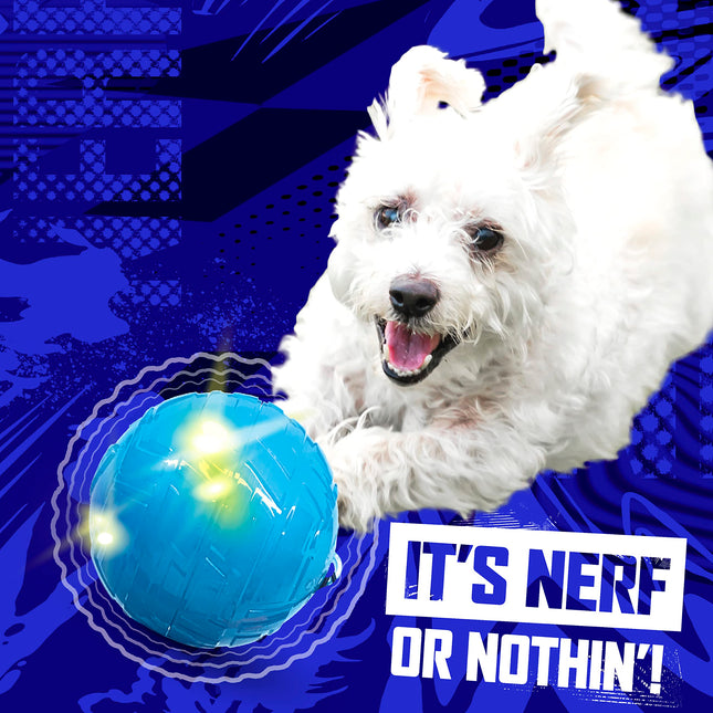 Nerf Dog 3.5in Wiggle Ball -Blue, (NF-4082)