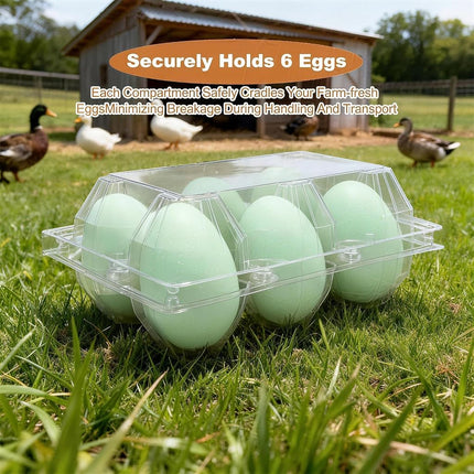 Egoaugx Clear Plastic Duck Turkey Jumbo Egg Storage Container, 6-Cell Cartons for Large Eggs, Reusable Refrigerator Tray (75)