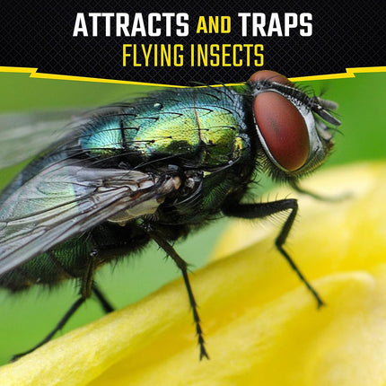 Black Flag Fly Stick Insect Trap, 6-Pack
