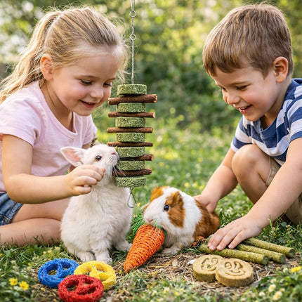 Grddaef Bunny Chew Toys for Teeth, Natural Rabbit Toys Apple Wood Grass Timothy Sticks Chew and Treat for Guinea Pigs Hamster Chinchillas (20 PCS)