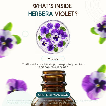 Violet B120 Alcohol-Free Herbal Extract Tincture, Super-Concentrated Organic Violet (Viola Tricolor) (4 fl oz)