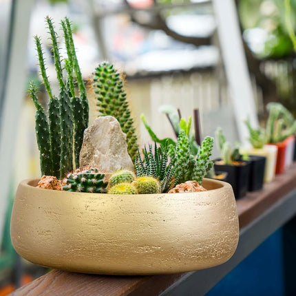 Olly & Rose Gold Home Decor Ceramic Planter Bowl - Shallow Indoor and Outdoor Plant Pot - Decorative Flower Pot and Garden Bowl (28.5cm)