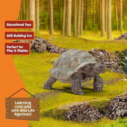 Schleich Wild Life - Giant Tortoise Toy Figurine - Kids Ages 3+ | 14824