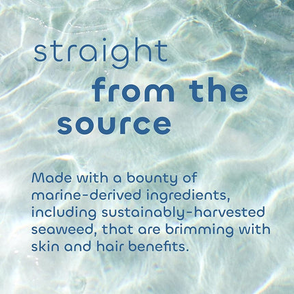 Seaweed Bath Co. Volumize Shampoo, Lavender Scent, 12 Ounce, Sustainably Harvested Seaweed, Green Algae, Barley Protein, For Normal to Fine Hair