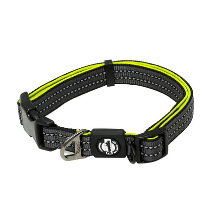 Collar de nailon para perros – Reflectante – Franklin Pet Supply Co™ – Ajuste cómodo – Neopreno – Ajustable – Grande – Verde