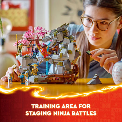 LEGO NINJAGO Le temple de la Pierre du Dragon, jouet de ninja à construire et à exposer avec 6 figurines de ninja, kit de construction de ninja avancé, idée de cadeau d'anniversaire pour les garçons et les filles de 13 ans et plus, 71819
