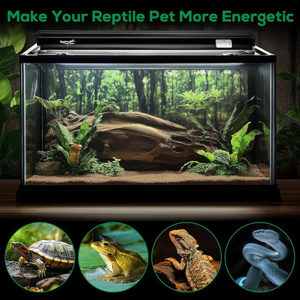 T5 Reptile Fixture Combo Kit, 8W Fixture, Reptile Terrarium Hood, 10.0W UVB Light Bulb, Fluorescent Tube Ideal for Tropical and Desert Areas such as Lagart