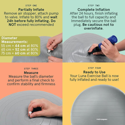 Retrospec Luna Exercise Ball, Base & Pump/Ball & Pump with Anti-Burst Material - Fitness Gym Swiss Ball - Perfect for Balance, Stability, Yoga, Pilates, Pregnancy & Birthing - 65cm - Black