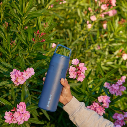 Stanley IceFlow Vaso y Botella de Agua 24 oz | Tapa Giratoria de Boca Ancha | Ligero y Antifugas para Viajes y Deportes | Acero Inoxidable Aislado | Sin BPA | Tigerlily Plum