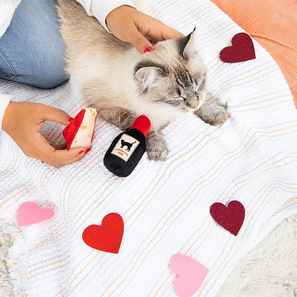 Set de 2 juguetes de queso y vino para gatos Pearhead – Juguetes de peluche con hierba gatera, arrugas y cascabel, juguetes interactivos para gatos de interior para el Día de San Valentín