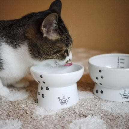 Necoichi Raised Cat Food and Water Bowl Set (Cat)