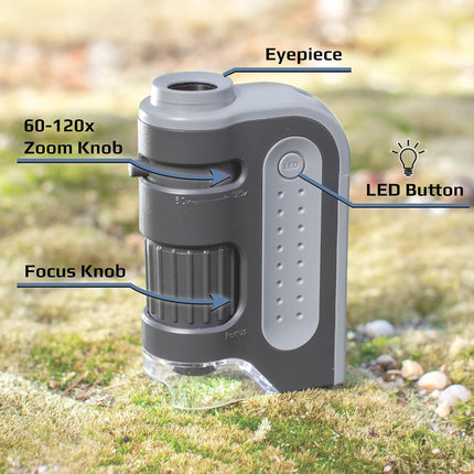 Carson MicroBrite Plus 60-120x LED Lighted Pocket Microscope (Set of 4)