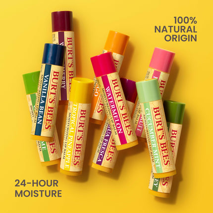 Burt's Bees Vanilla Bean Lip Balm (PACK OF 4)