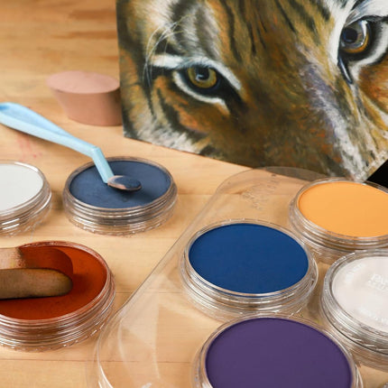 Colorfin, PanPastel Artist Pastels, 10-Color Animal Art with Lisa Ann Watkins Set (30084)