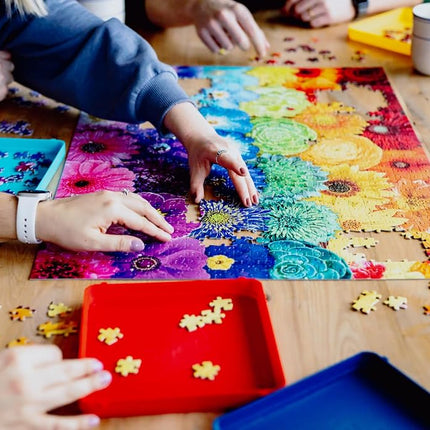 Puzzle Sorting Trays