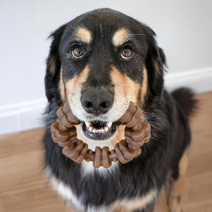 Nylabone Strong Chew Ring Dog Chew Toy Made with Real Beef & Chicken