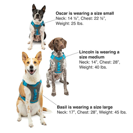 Kurgo Journey Air Dog Harness - Secure Fit for Active Dogs - Padded Chest - Lightweight Ripstop Fabric - Breathable Mesh - Reflective Trim - Back Assist Handle - Red - X-Large