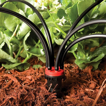 Rain Bird MANIF21PK Drip Irrigation Manifold, Flow Rate, Red/Black, 6-Port, 2 Gallon Per Hour Per Port