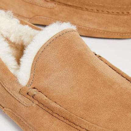 UGG Men's Ascot Slipper, Chestnut, 7 UK