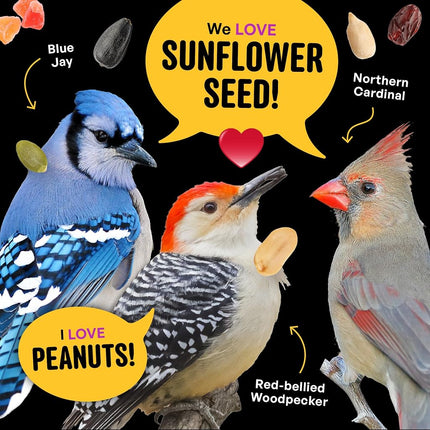 Cool Birds Nut & Fruit Wild Bird Seed – 10 lb. Gourmet Bird Food with Sunflower Hearts, Peanuts, Tree Nuts & Real Fruit – No Corn, Milo or Millet Bird Seed for Outside Feeders