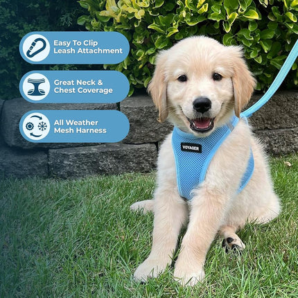 Voyager Step-in Air All Weather Mesh Harness and Reflective Dog 5 ft Leash Combo with Neoprene Handle, for Small, Medium and Large Breed Puppies by Best Pet Supplies - Set (Baby Blue), S