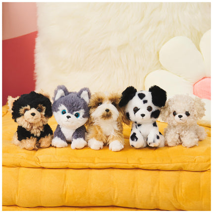 GUND Boo, el perro más lindo del mundo, colección Boo & Friends Cachorro de terrier tibetano, peluche para niños de 1 año en adelante, 12.7 cm