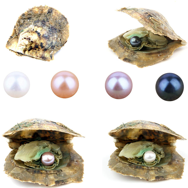 4PCS Saltwater Akoya Cultured Pearl Oyster with Ro
