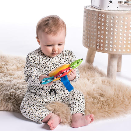 Baby Einstein Star Bright Symphony Plush Musical Take-Along Toy, Ages Newborn +