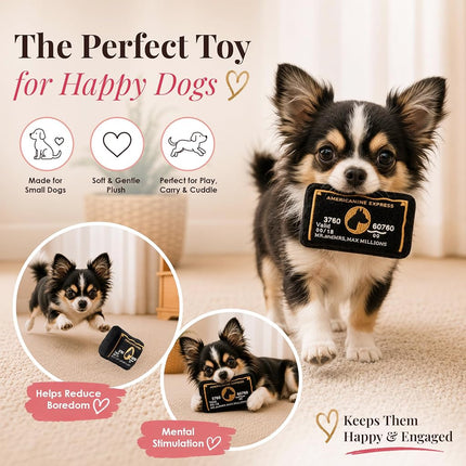 Collection de Cartes de Crédit Dog Diggin Designs | Jouets en peluche couineurs parodiques uniques pour chiens – Ne sortez jamais sans elle