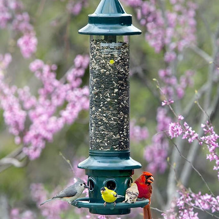 Jacobi Jayne 1024-V01 Feeder Buster Plus-Marauders Off Guaranteed Squirrel and Large Bird Proof/Metal, Green