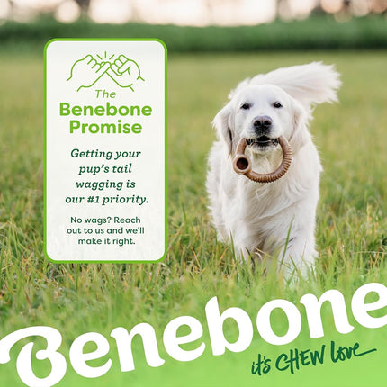 Benebone Ring Dog Chew Toy for Aggressive Chewers, Real Bacon, Large