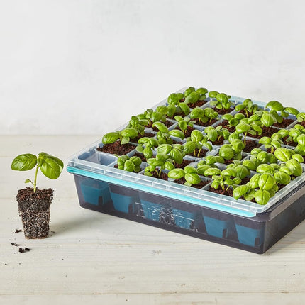 Burpee SuperSeed Seed Starting Tray | 36 Cell Reusable Seed Starter Tray | for Starting Vegetable, Flower & Herb Seeds | Indoor Grow Kit for Plant Seedlings | for Germination Success