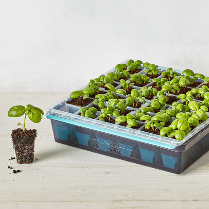 Burpee SuperSeed Seed Starting Tray | 36 Cell Reusable Seed Starter Tray | for Starting Vegetable, Flower & Herb Seeds | Indoor Grow Kit for Plant Seedlings | for Germination Success