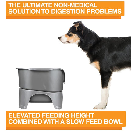 Neater Feeder - Express Model w/Slow Feed Bowl - Mess-Proof Dog Bowls (M/L, Grey) Made in USA � Elevated, No Spill, Non-Tip, Non-Slip, Raised Stainless Steel Food/Water Pet Bowls Aid Digestion
