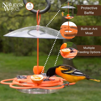 Nature’s Way Multi-Station Oriole Feeding Center with Ant Moat & Weather Baffle, Metal & Plastic Wild Bird Feeder, 12 oz Nectar Capacity, Orange