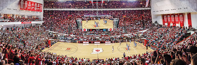 MasterPieces NCAA Indiana Hoosiers Basketball 1000 Piece Panoramic Stadium Jigsaw Puzzle