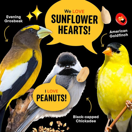 Cool Birds No Mess Sad Squirrels Hot Bird Seed – 10 lb. Spicy Shell-Free Blend with Peanuts, Sunflower Hearts & Chili Pepper Oil – No Waste, Squirrel-Resistant Bird Food for Outside Feeders