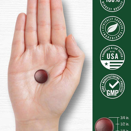 Carlyle Ginkgo Biloba | 70 Gummies | 45:1 Leaf Extract