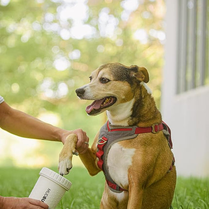 Dexas MudBuster Portable Dog Paw Washer/Paw Cleaner, Medium, Bright White- Special Edition