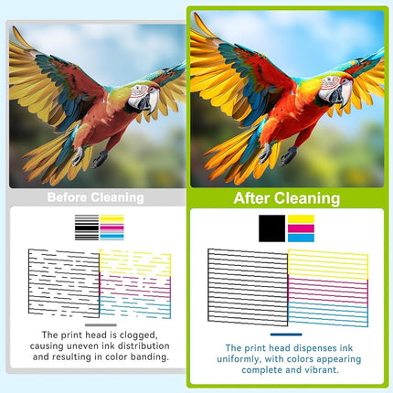 CenDale DTF Cleaning Kit - 250ML DTF Printer Cleaning Solution, Universal Print Head Cleaner Kit for Any DTF & DTG Printers, Print Head DTF Cleaning Solution for Epson ET8550 L1800 XP600 Ink Printer
