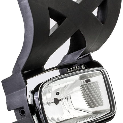 Dorman 1631264 Passenger Side Fog Light Assembly for Select Ford Models