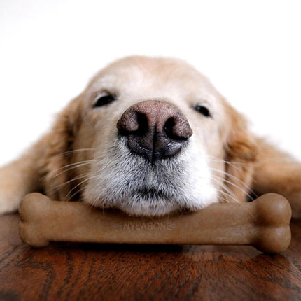 Nylabone Strong Chew Original Bone Dog Toy Made with Real Chicken