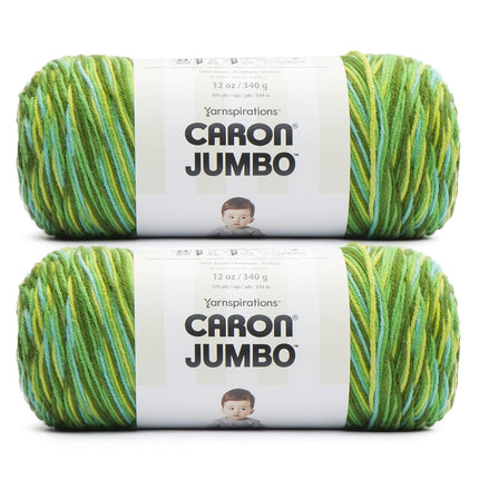 Caron Jumbo Foliage Yarn - 2 Pack of 340g/12 oz - 100% Acrylic - #4 Worsted (Medium) - 595 Yards - Knitting/Crochet