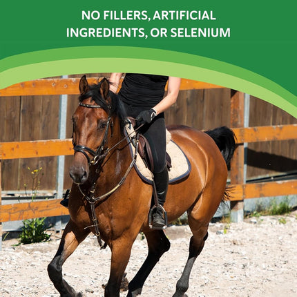 Equine Medical Health E - 60 Day Supply