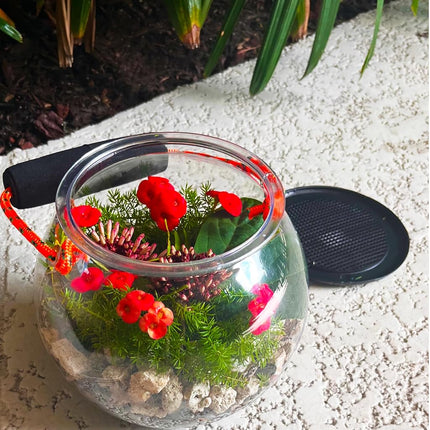 Dry Branch Sports Design Catch and Release Beach Aquarium Kit by Flat River Group