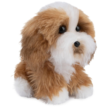 GUND Boo, el perro más lindo del mundo, colección Boo & Friends Cachorro de terrier tibetano, peluche para niños de 1 año en adelante, 12.7 cm