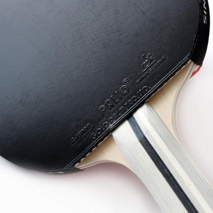 Palio Expert 3.0 Table Tennis Bat & Case | ITTF Approved High-Performance Ping Pong Racket for Beginners | Maximum Spin & Control