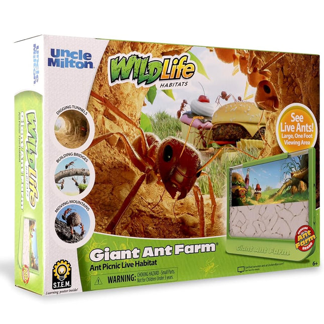 Uncle Milton | Giant Ant Farm | Extra Large Viewing Area with Ant Picnic Scene, Classroom Toy, Classic Kids Educational Toy for Boys and Girls Aged 6+ | Basic Fun 00056